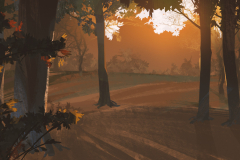 BG-forest-sunset